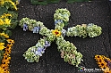 VBS_9711 - Infiorata di Villanova d'Asti 2023